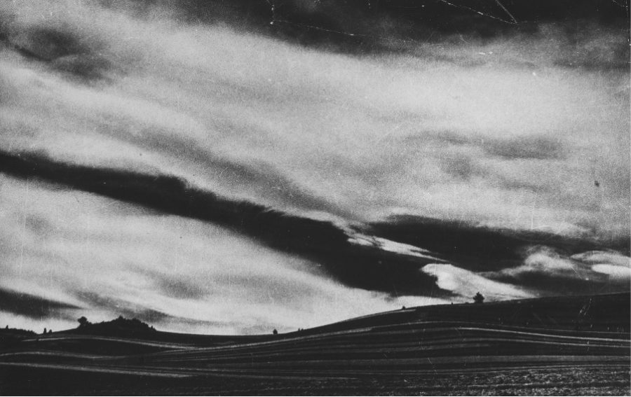 Fotografia uwolniona od obowiązków. Wirtualna wystawa Edwarda Hartwiga