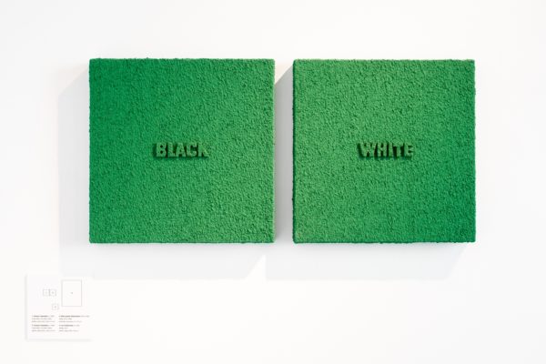 Dwa obrazy, które wyglądają jak murawa. Na jednym z nich znajduje się wypukły napis "black", na drugim "white".