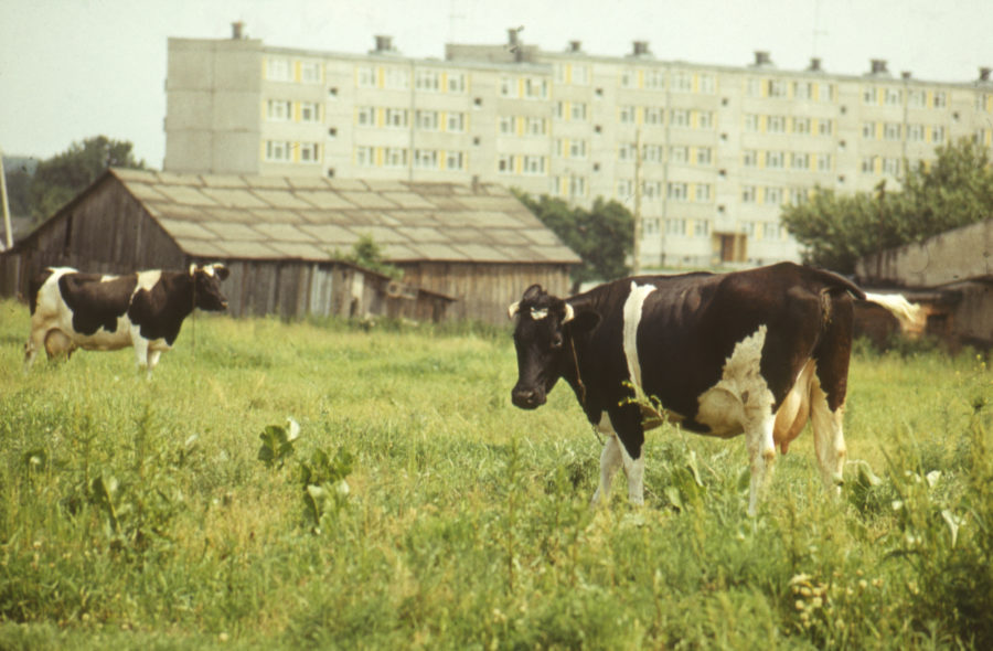 Lublin 1918-2018. 100 lat miasta w fotografii i wspomnieniach