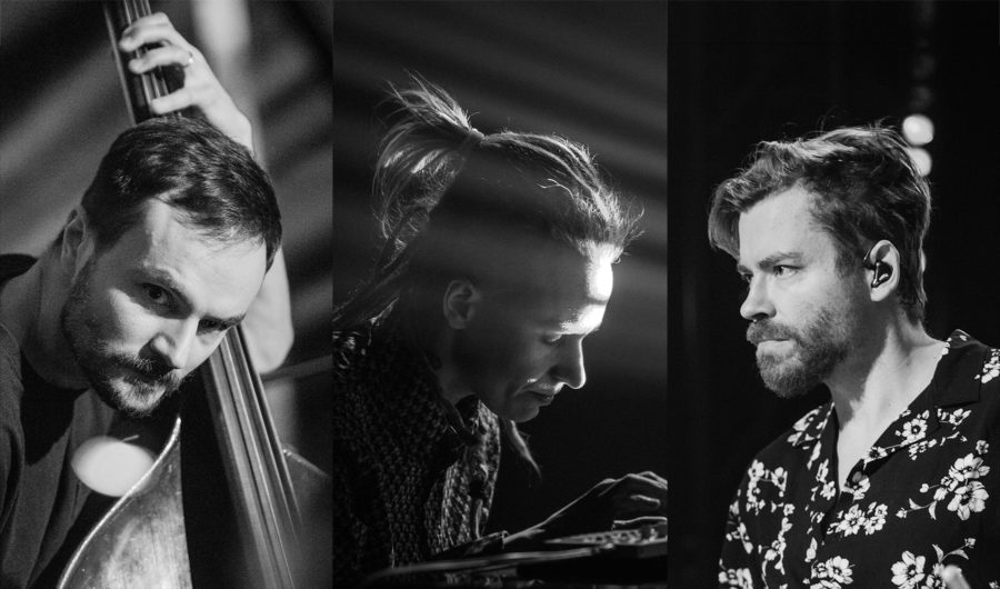 Port Kultury: Joanna Duda Trio