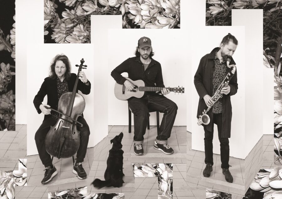 Polski Piach gra Reksia