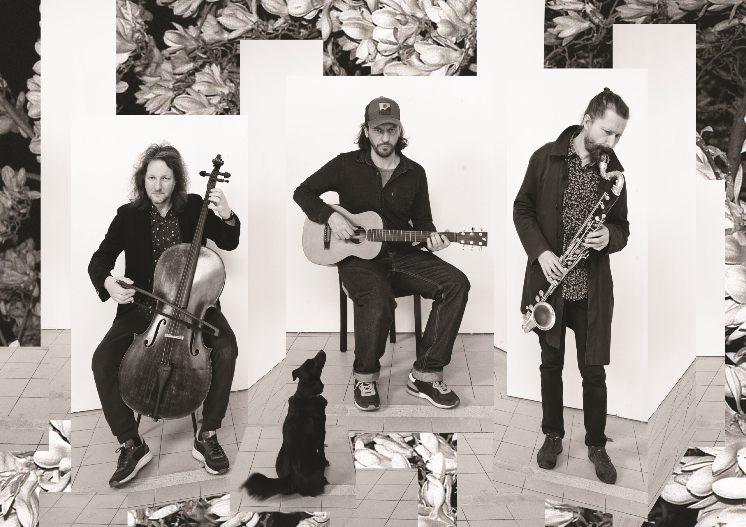 Polski Piach gra Reksia