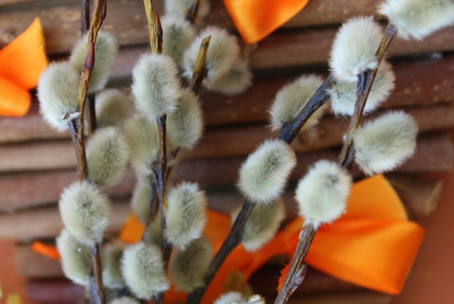 Wielkanocne życzenia